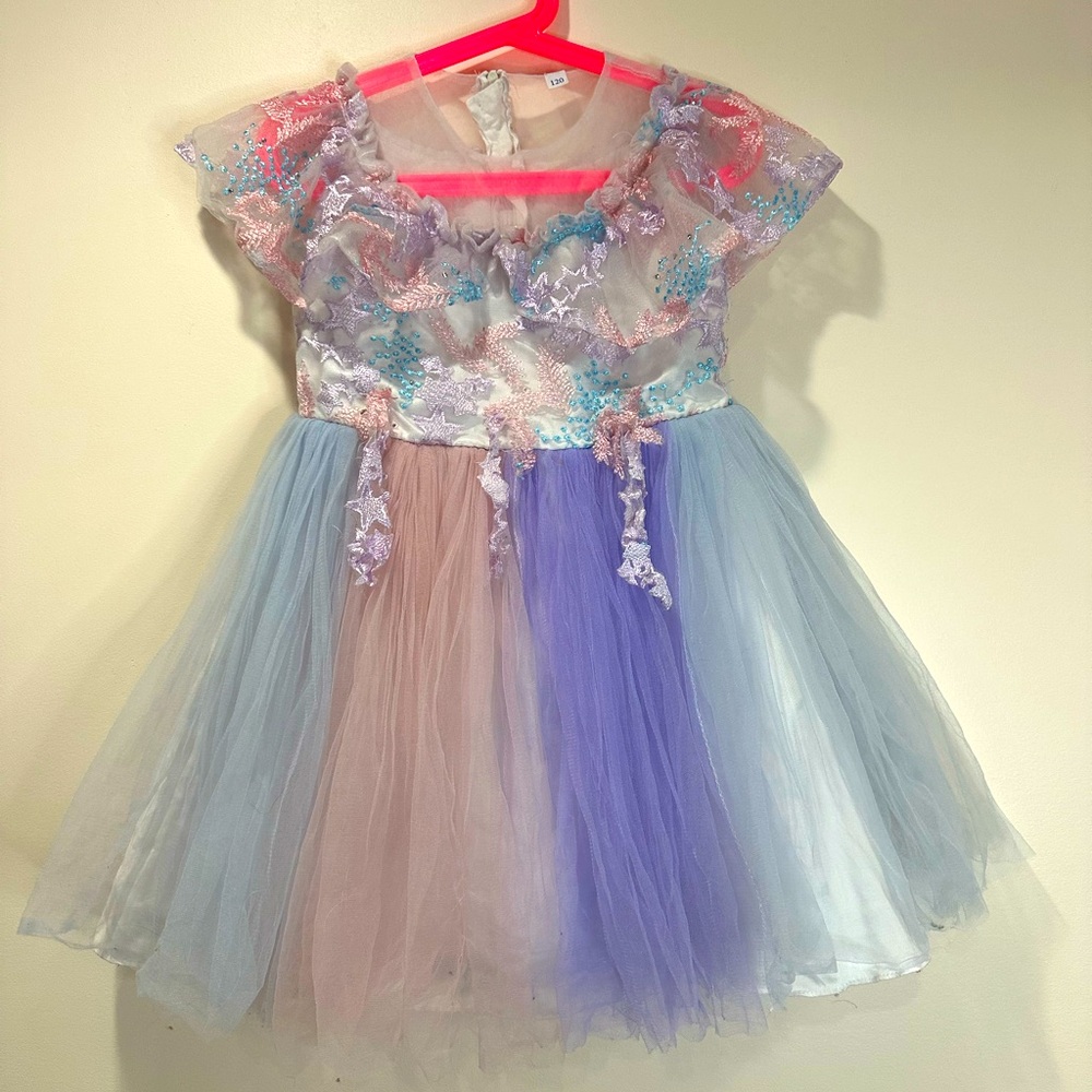 Enchanting Embroidered Pastel Tulle Dress (Size 120 / 5T)